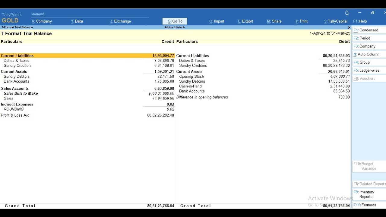 Tally Add On : Trial Balance Report in T-Format in TallyPrime software.