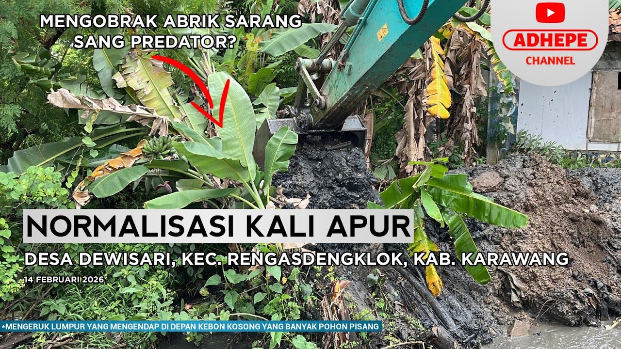 MENGOBRAK ABRIK SARANG ULAR? | NORMALISASI KALI APUR - KARAWANG 2026 