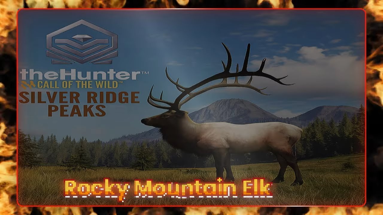 Awesome Rocky Mountain Elk Hunt in Series!