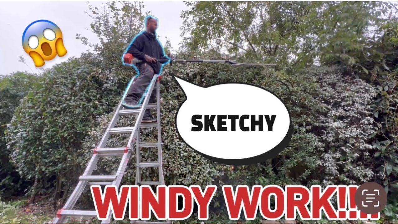 HAZARDOUS Wind I NEARLY FELL OFF BIG LADDER Hedge Cutting!!!