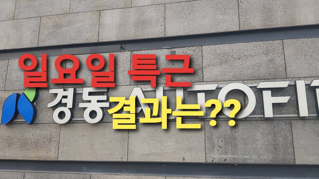 일요일은 신의영역!!