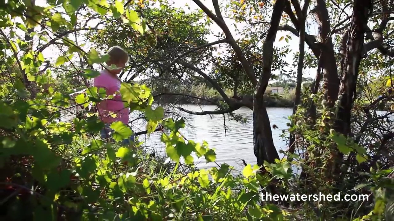 The Watershed Lifestyle