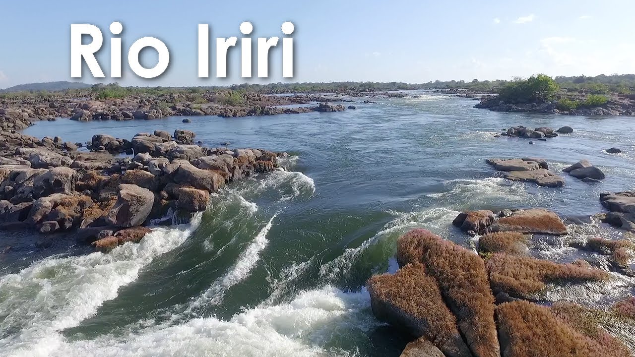 O Trairão (e outros peixes) do rio Iriri