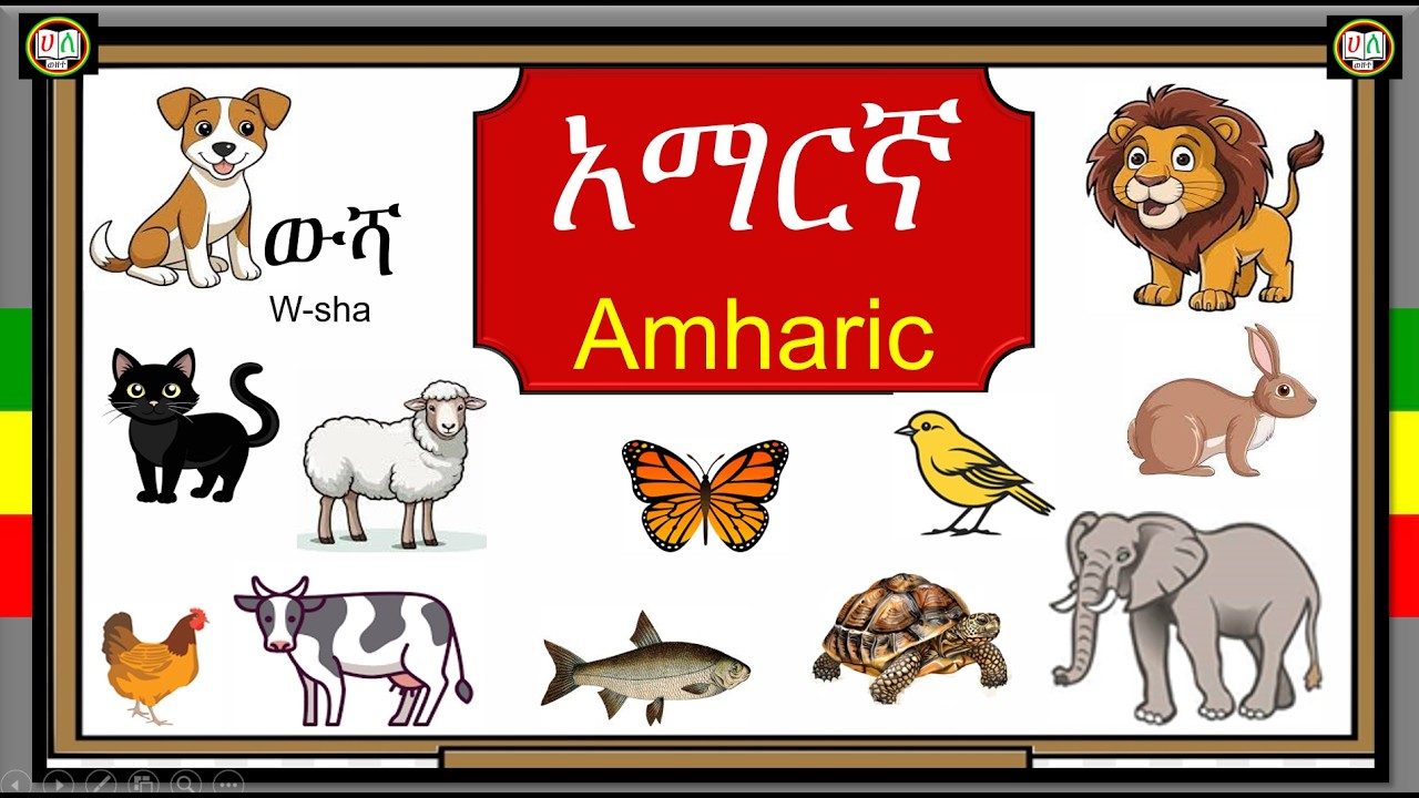 የአማርኛ ቃላት ለጀማሪዎች || Amharic Vocabulary for Beginners