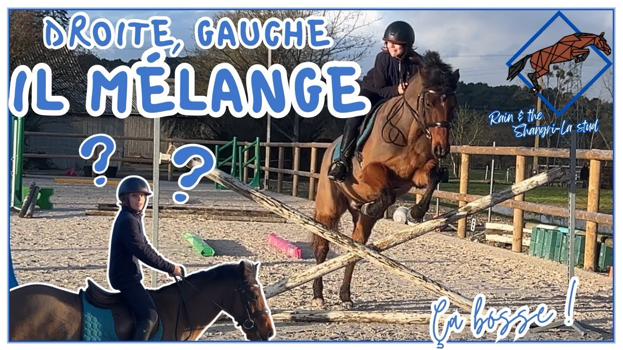 💙 Dressage : ÇA N’A AUCUN SENS 😅