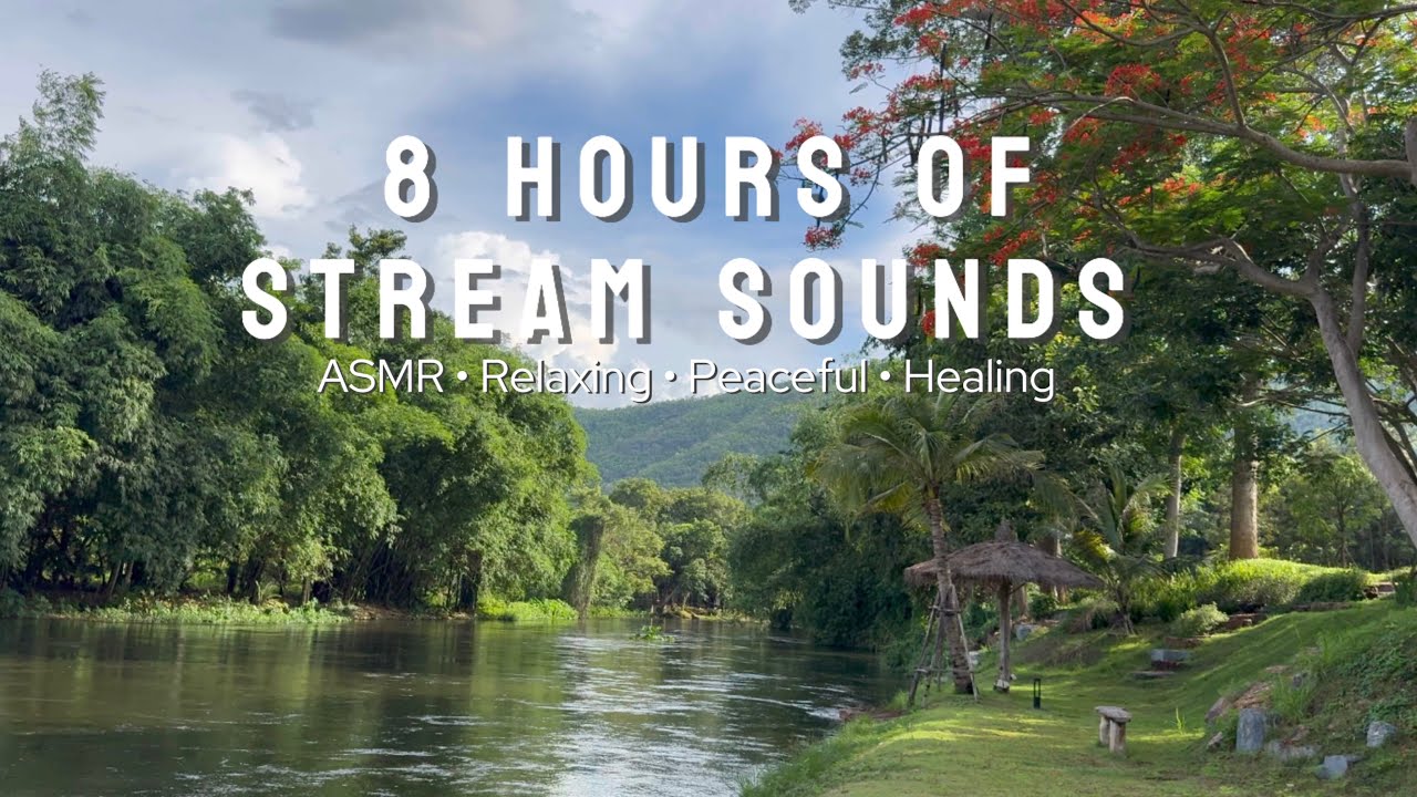 8 Hours of Stream Sounds &bull; ASMR &bull; Relaxing &bull; Deep Sleep &bull; Peaceful &bull; Healing &bull; Stress Relief