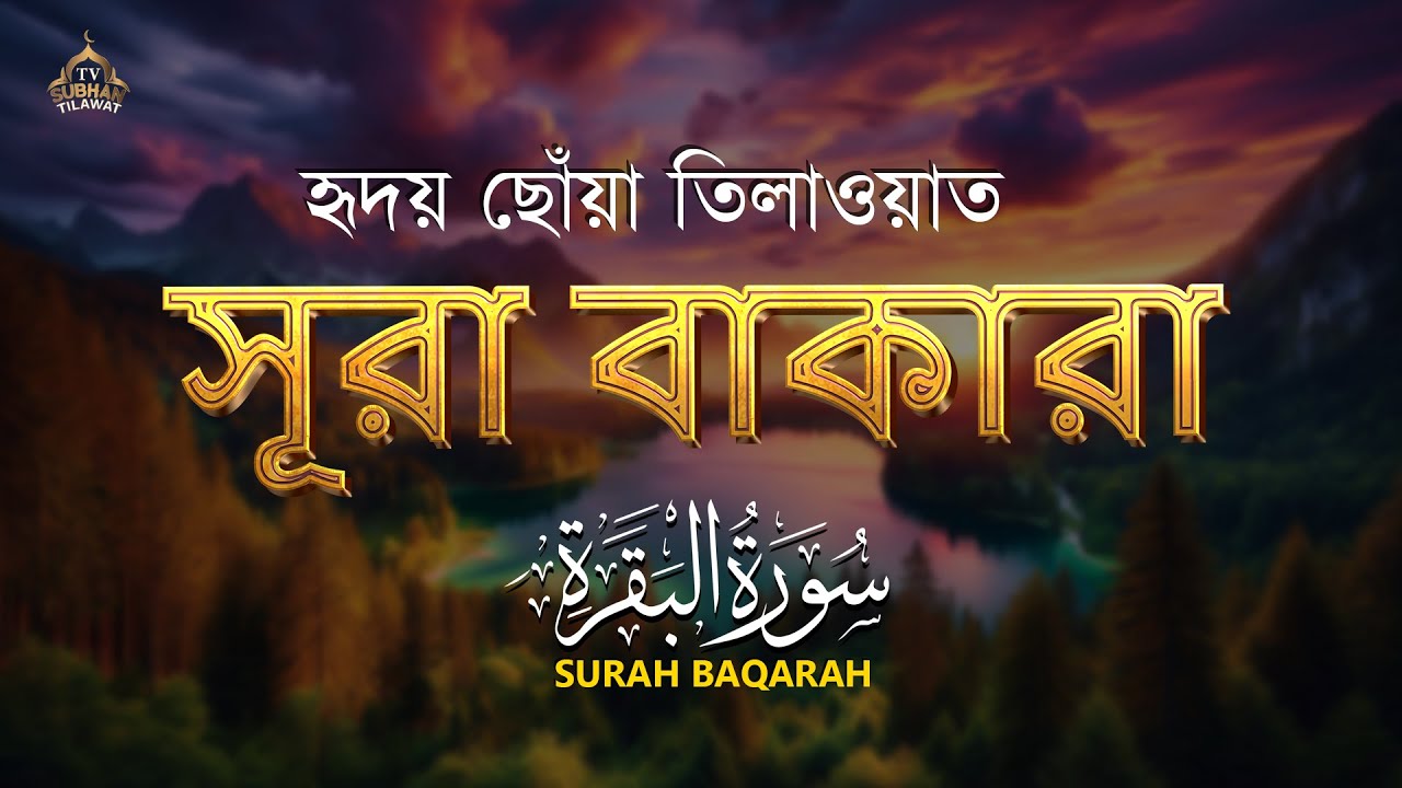 🌿 পৃথিবীর সবচেয়ে আবেগময় সুরা বাকারা তেলাওয়াত | Surah Al Baqarah (سورة البقرة) by Alaa Aqel 🎧