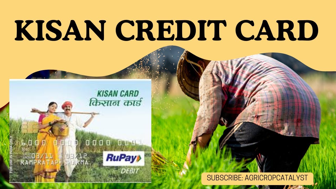 KISAN CREDIT CARD I KCC I TOP QUESTIONS