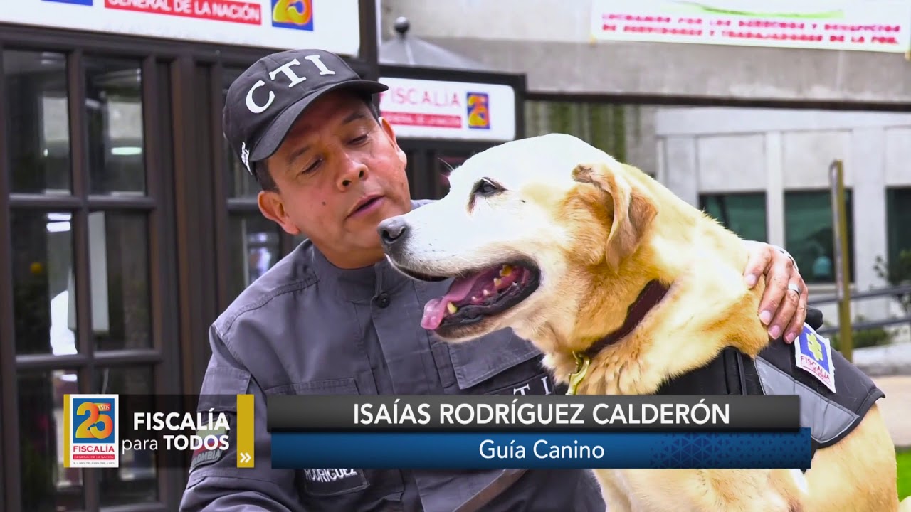 Caninos de la Fiscalía se jubilaron con honores