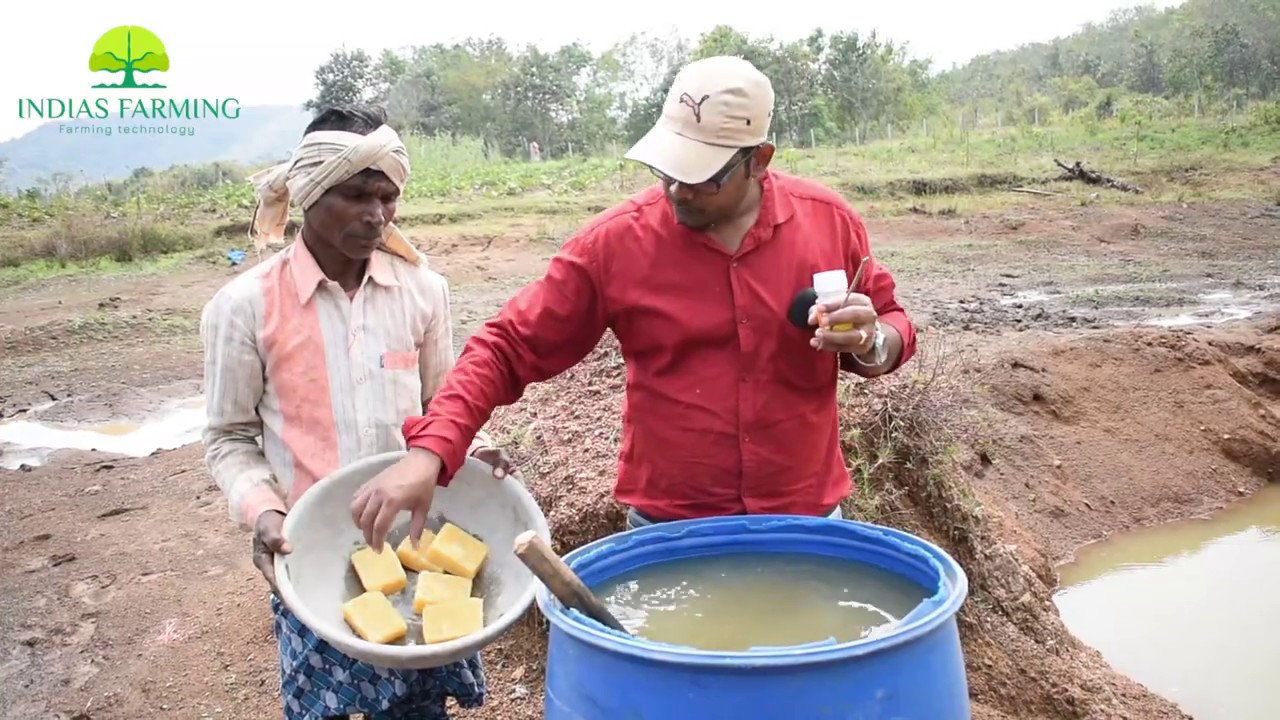डीकंपोजर बनाने की सही विधि ||waste decomposer making correct & easy method