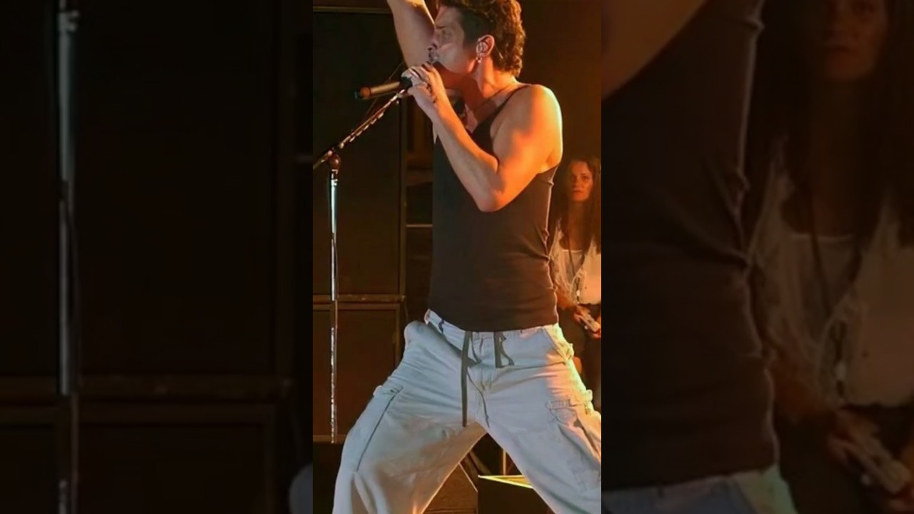 was Audioslave just a corperate rock group? 🎸 