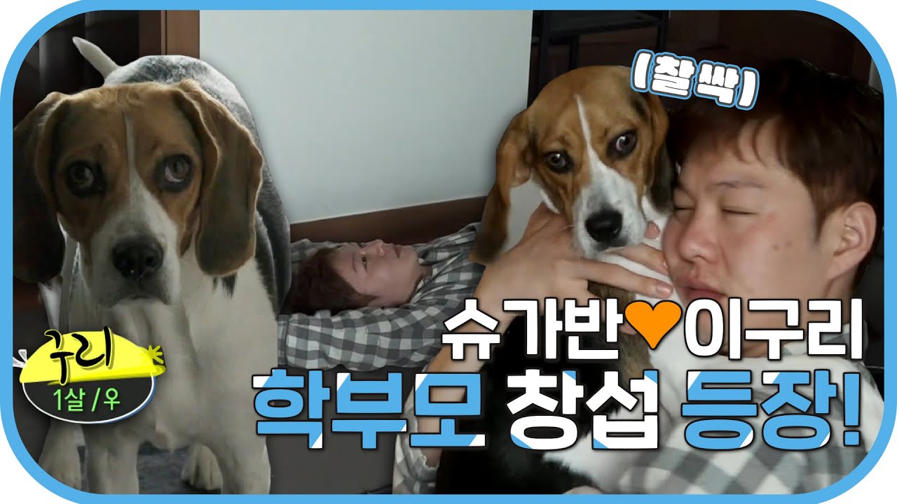 #나혼자산다, 슈가반💕귀염둥이 #구리와 함께 보내는 #이창섭의 행복한 하루 일과💖, MBC 230324 방송