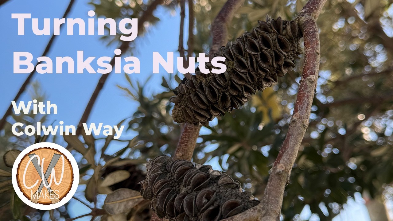 Turning Banksia nut