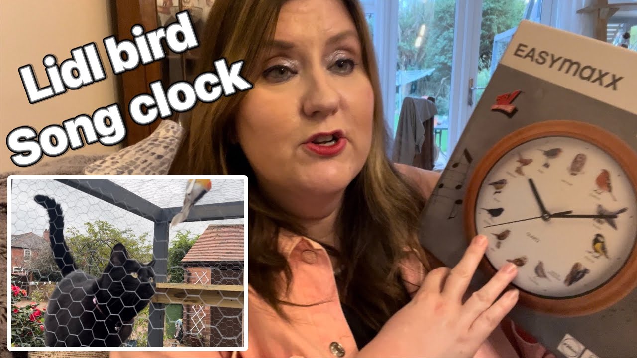LIDL BIRD SONG CLOCK