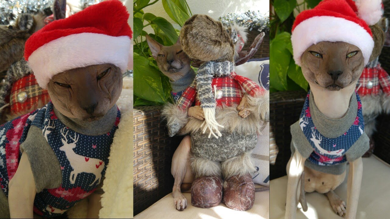 Handsome Sphynx Cat RAMSES Dressed up for Christmas 🤩🎅