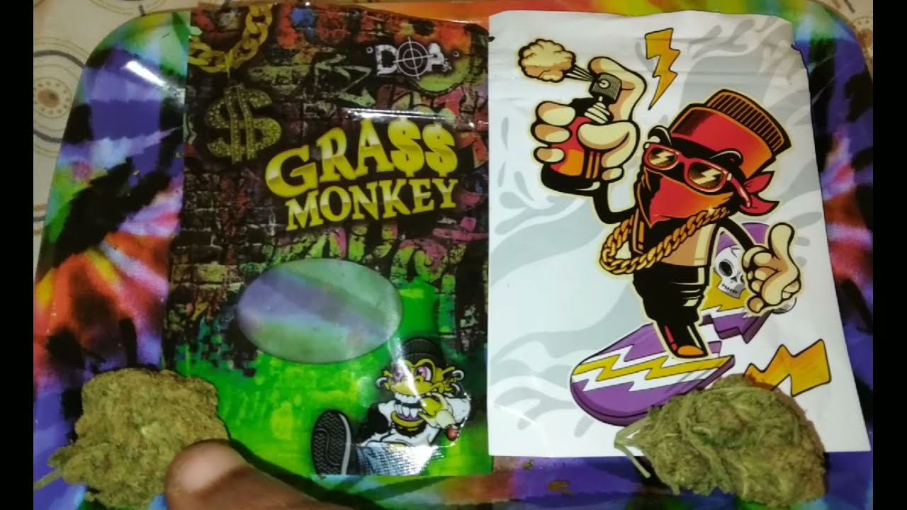 weed review 24k VS Triangle og  #kush #24k