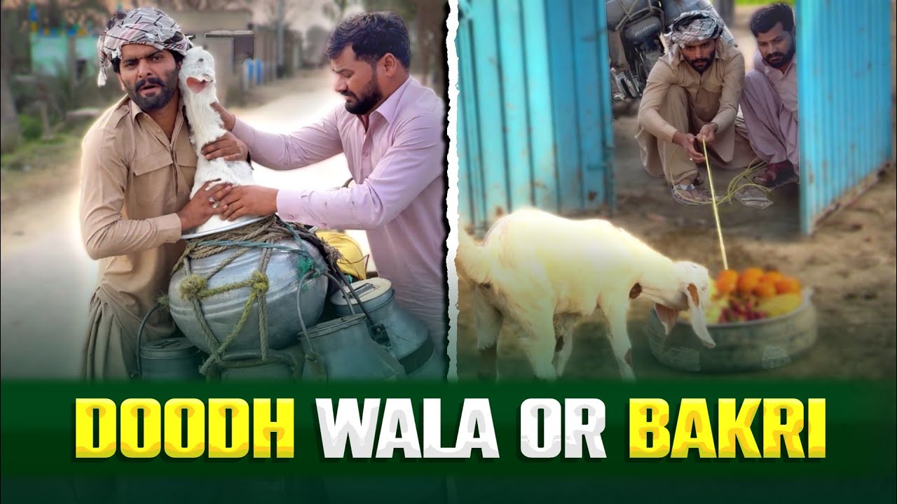 Doodh Wale Nay Bakri Kyon Uthai? 🐐🥛 | Funny Video | Urdu/Hindi