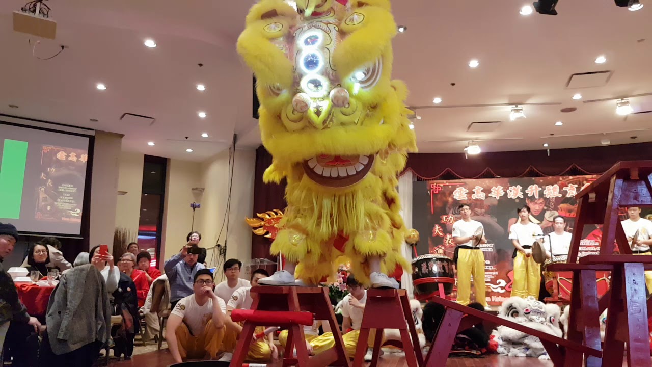 Hon Hsing Athletic Club of Vancouver 80th Anniversary Celebration Climatic Lion Dance Finale