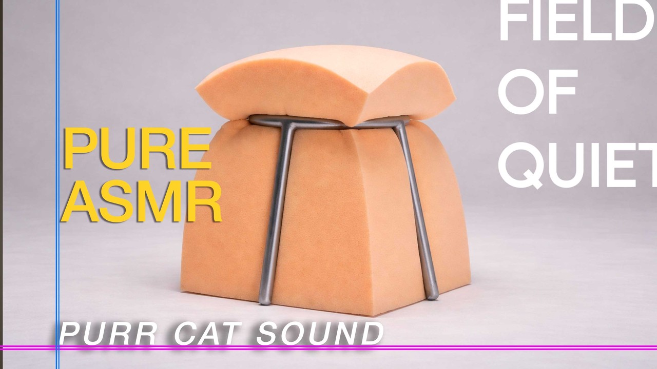 Cat Purr Sound for calm and regulate nervous system ~ Field Of Quiet