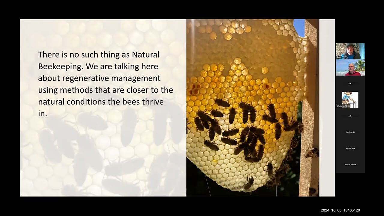 Natural Beekeeping - 20 Suggestions with Paul Sheppard 05102024