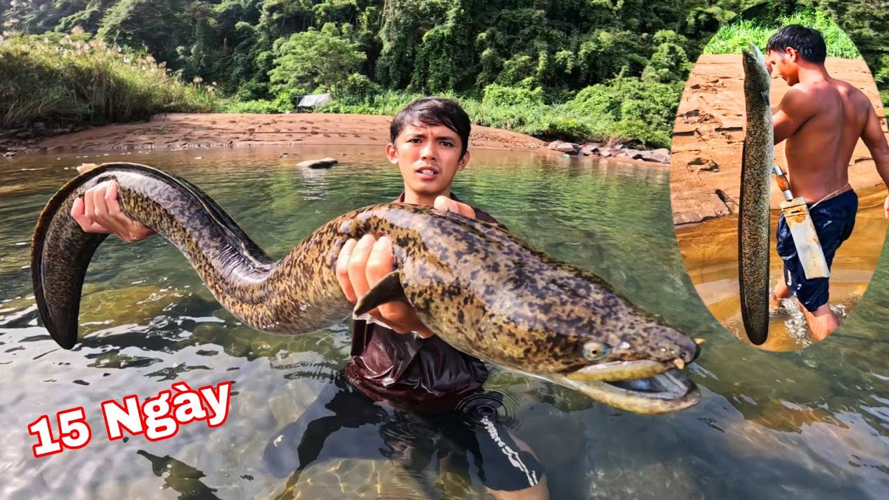 CHẠM MẶT Loài CÁ SĂN Mồi Ác Mộng Của Rừng Mưa | 15 Ngày Đêm Ngủ Rừng Săn Cá Lăng Rừng (phần 4)