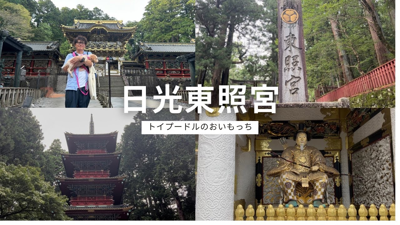 【日光旅Vlog】愛犬と行く世界遺産日光東照宮の旅