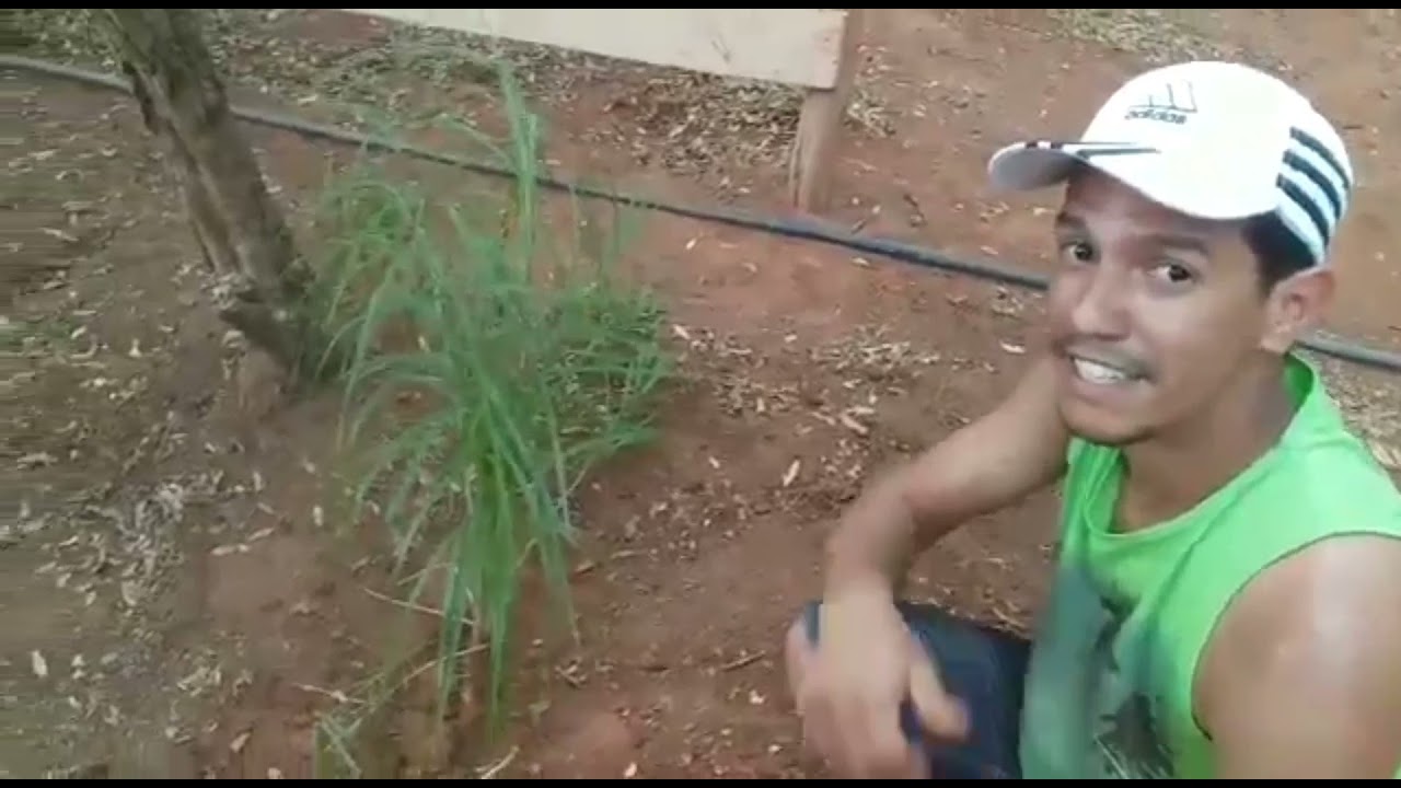 Deu ruim na ro&ccedil;a!/caiu tor&oacute;!