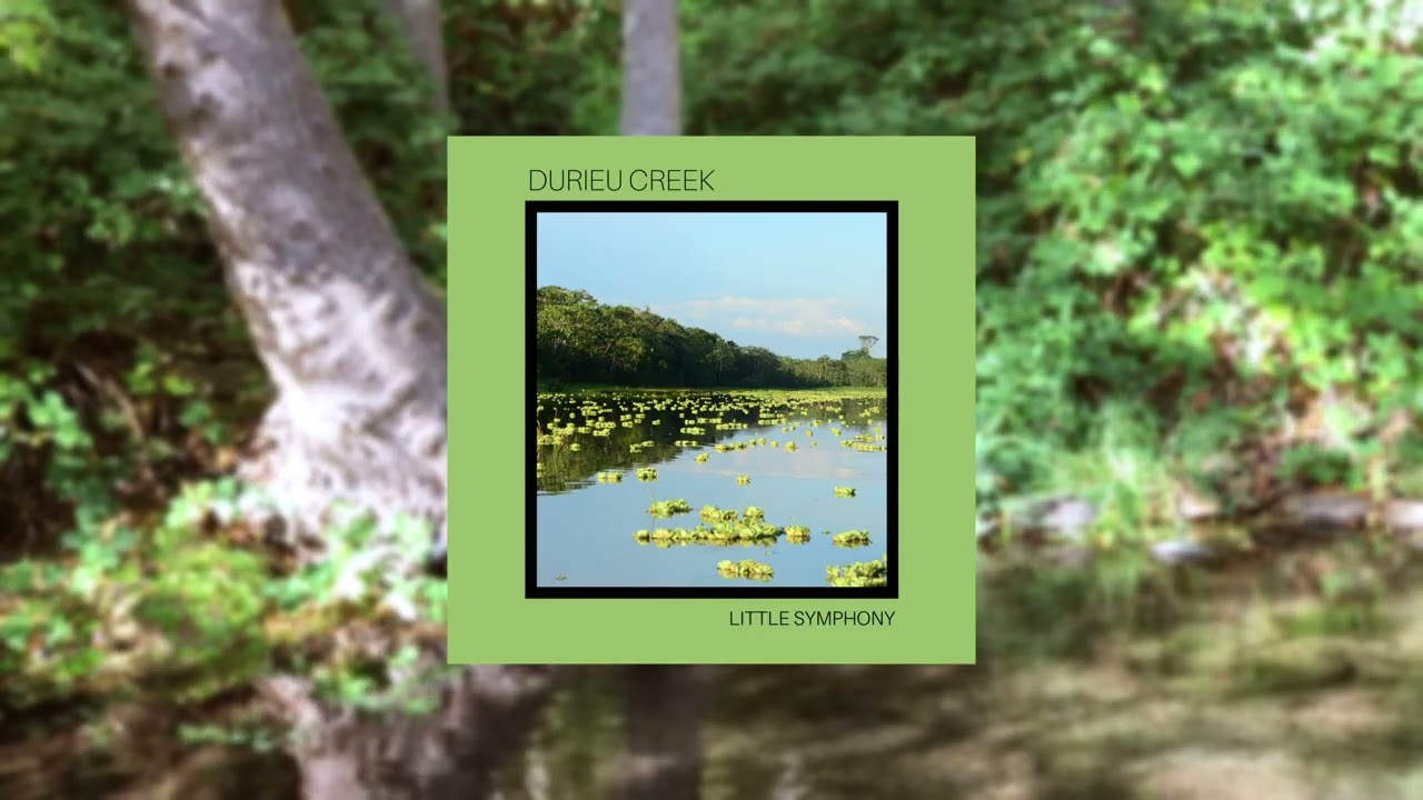 Durieu Creek - Full Album, No AI Ambient Music & Nature Sounds