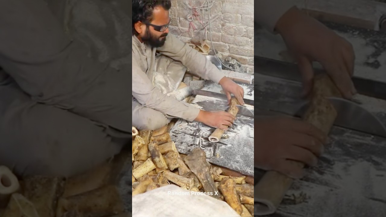Animals Bones Into Manufacturing Bone Buttons