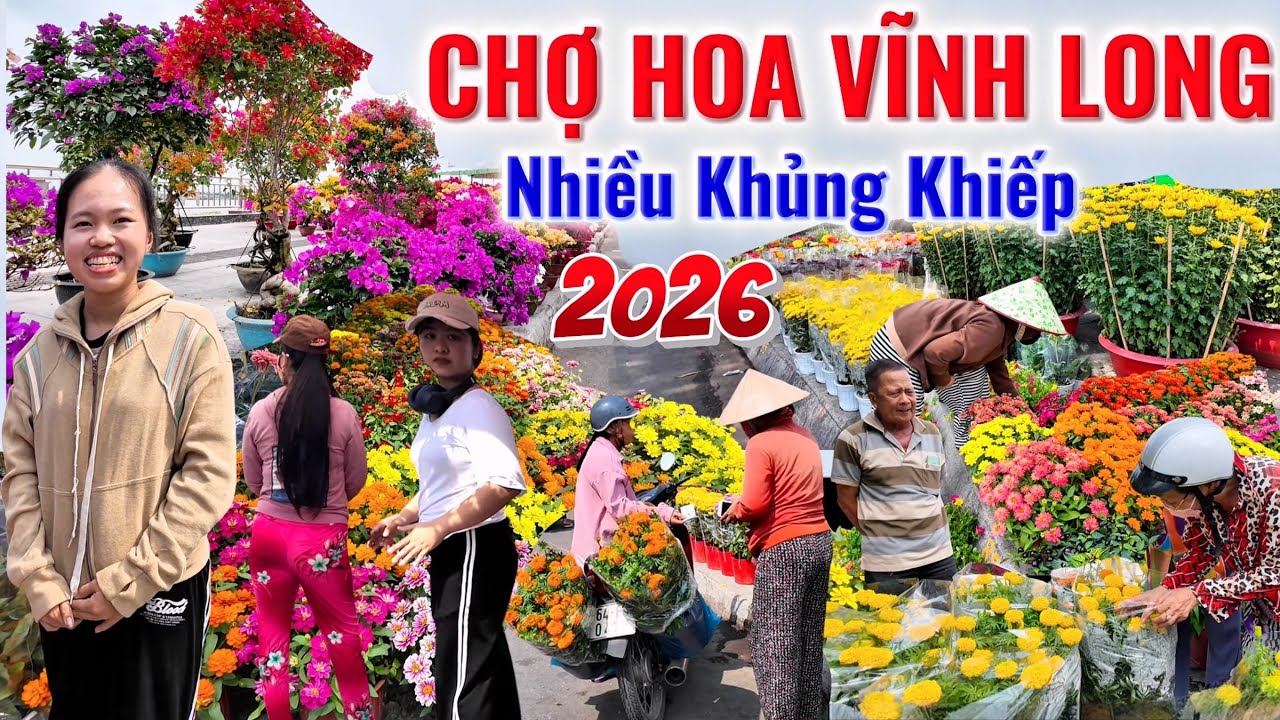 Choáng Ngợp Với Số Lượng Hoa Tết Siêu Nhiều Ở Chợ Hoa Xuân Tp VĨNH LONG, Siêu Đẹp. Tết 2026