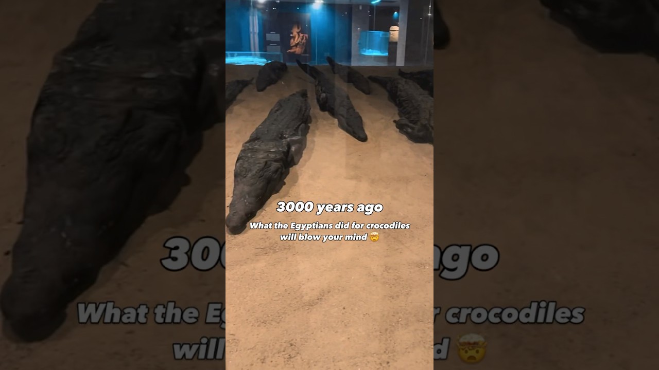 3000-yr-old mummified crocodiles in Egypt? Discover Kom Ombo&rsquo;s wild ancient secret #ancienthistory