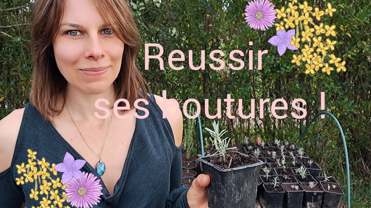 comment bouturer sans difficultés !
