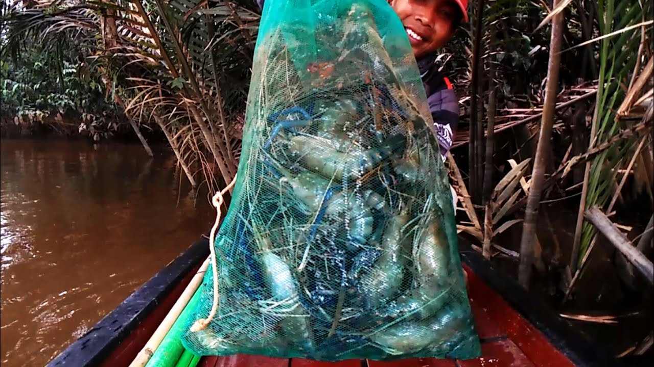 Awalnya gak yakin,, mancing udang galah di air keruh..