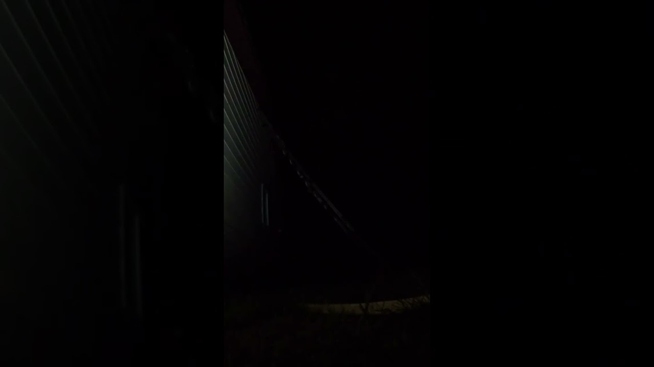 Fast Wasp Hive Relocation & Night Insect Ambience (Buzzing Warning) 🐝 Vertical 