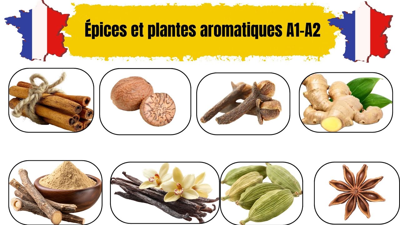 Le grand vocabulaire des épices et plantes aromatiques 🌿 | Français facile A1–A2