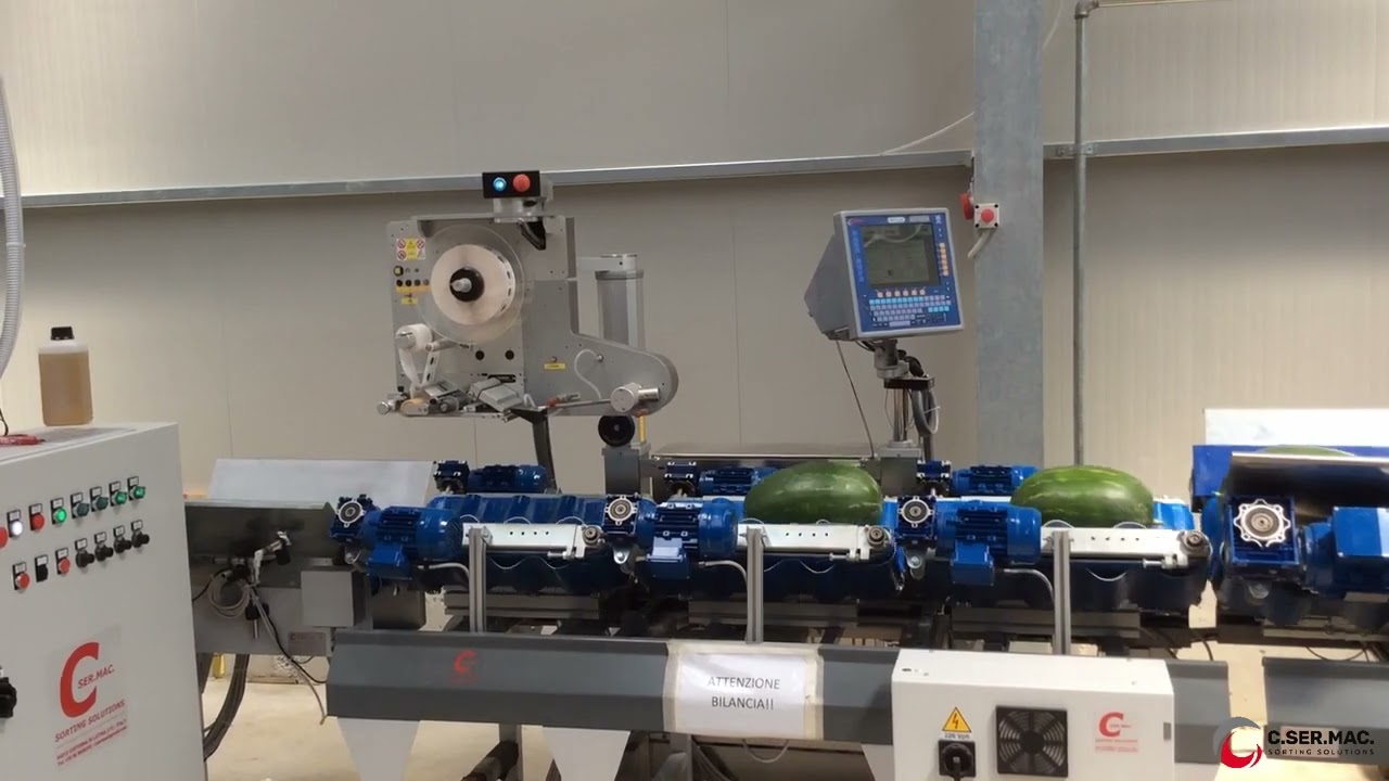 Linea Peso  Prezzatrice