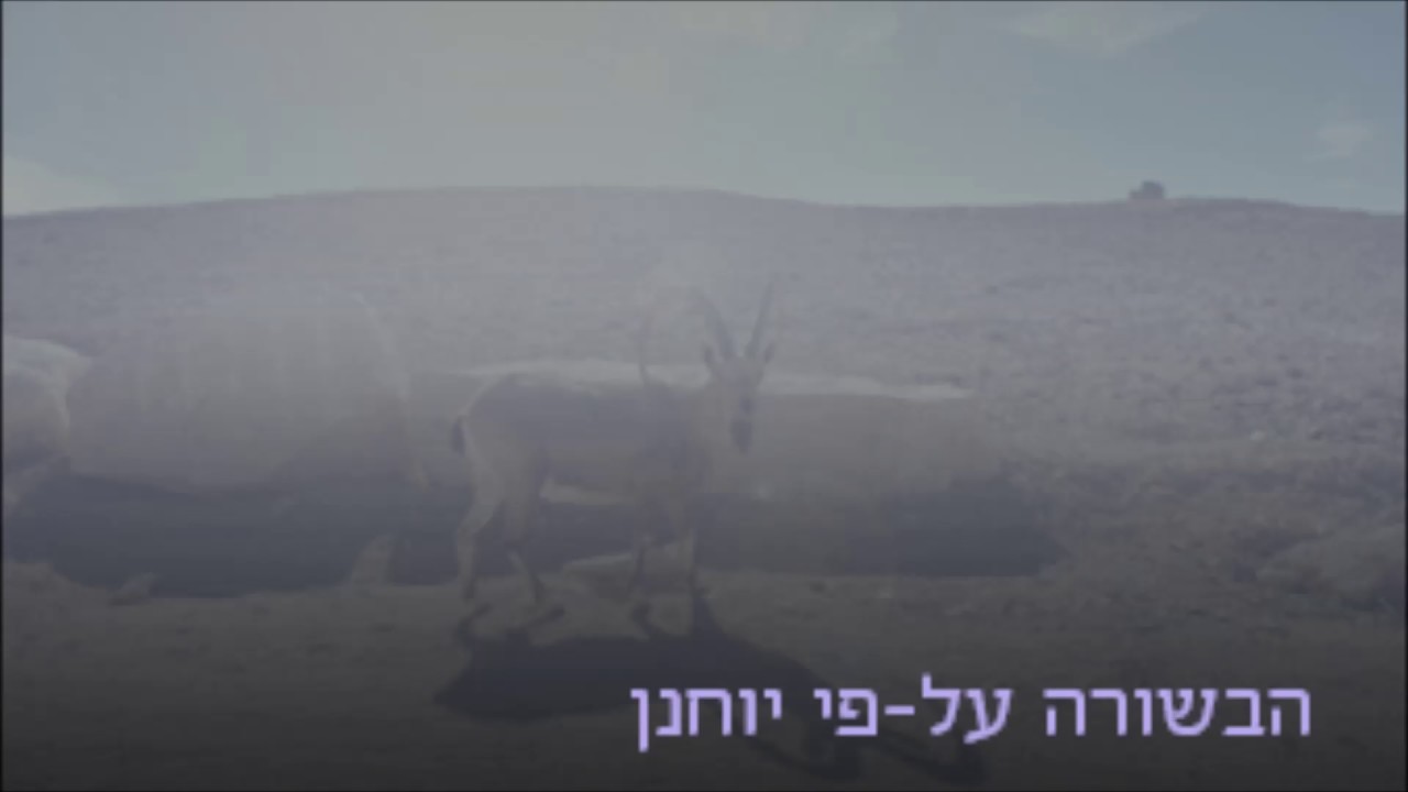 הבשורה על פי יוחנן