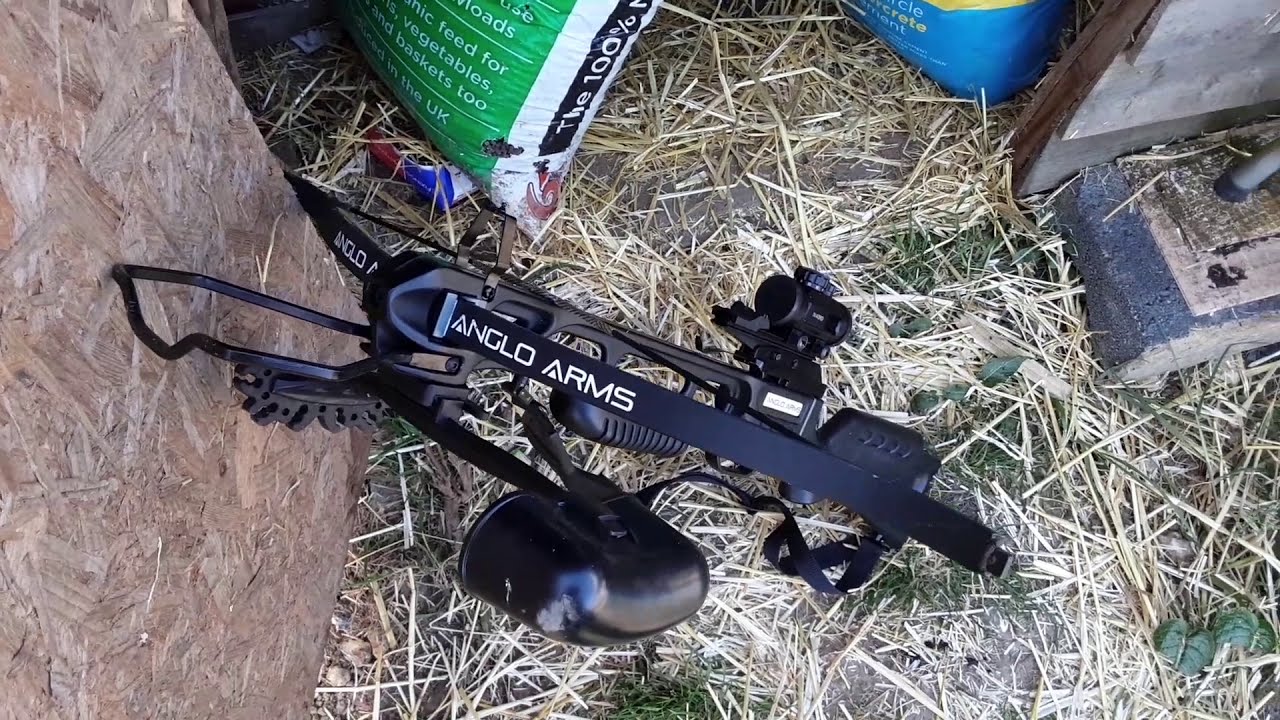 175 lb crossbows are rather impressive.