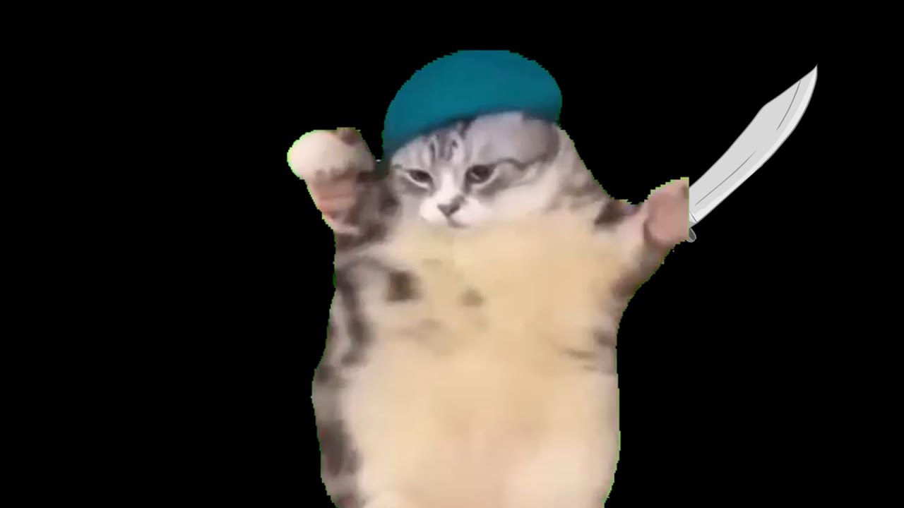 cat apple!!【猫ミーム】【bad apple!!】カラー版