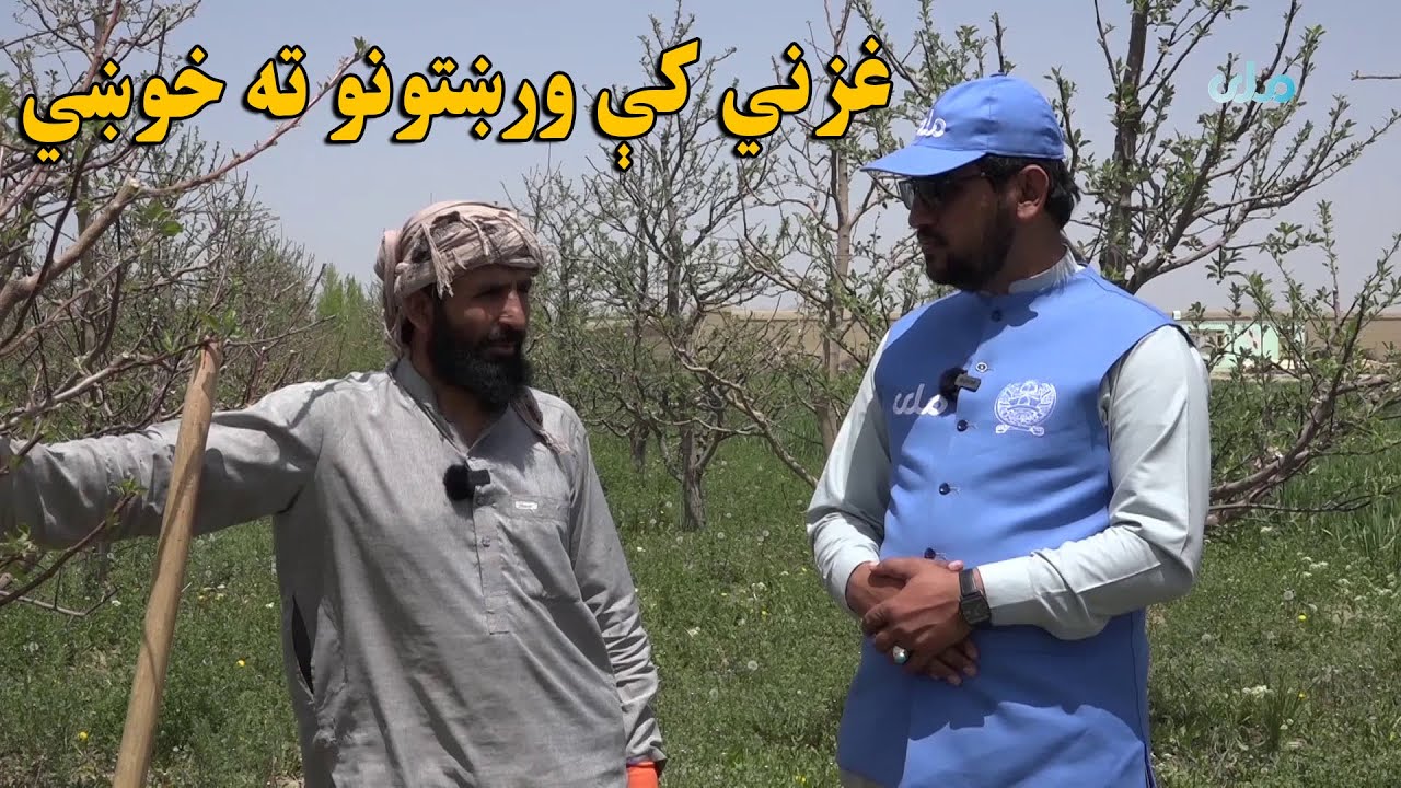 زما هېواد | غزني کې وروستیو ورښتونو ته د خلکو خوښي