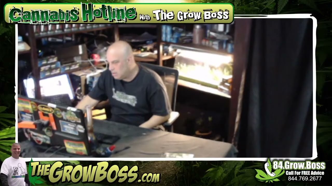 northern scrogger garden review 7-10-2022