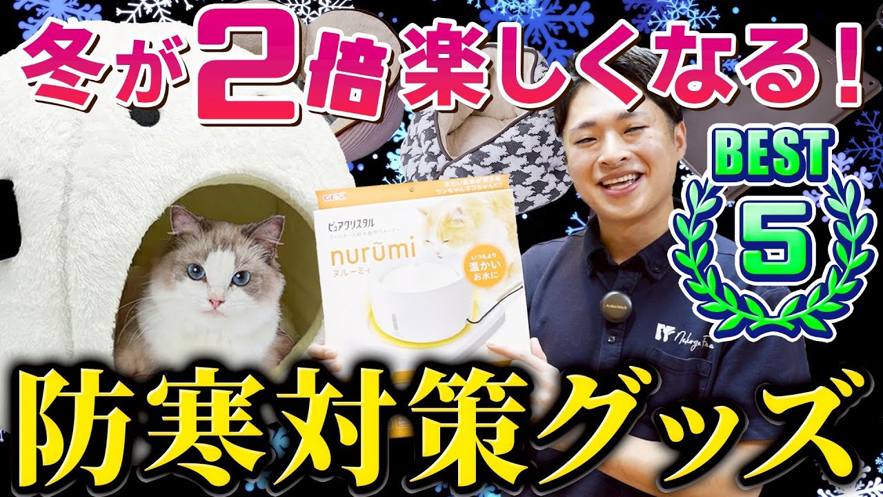 【2025最新版】プロが教える！猫の冬対策グッズを全部見せます！防寒グッズベスト５