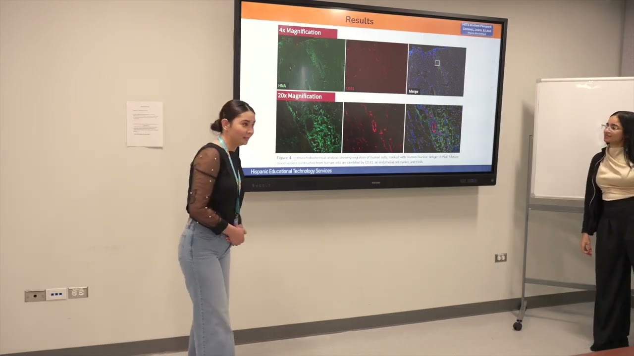 Analyzing microangiogenesis of porcine ischemic heart failure through immunohistochemical staining