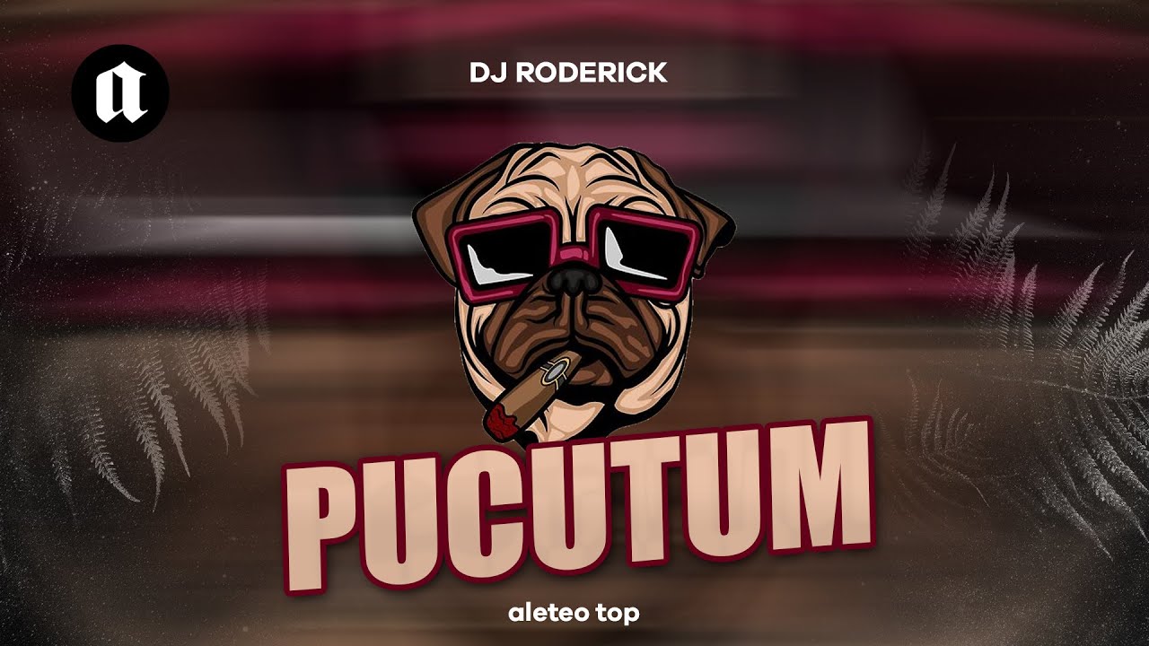 Pucutun 💥 Guaracha 2022 | Prod. Dj Roderick (Aleteo, Tiktok, Zapateo, Guaracha, New, Viral)