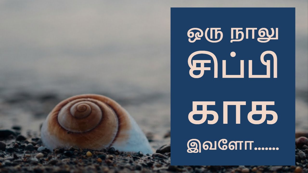 Sunday Class Story | நாலு சிப்பி ஆனா ...... | ஞாயிருப்பள்ளி கதைகள்
