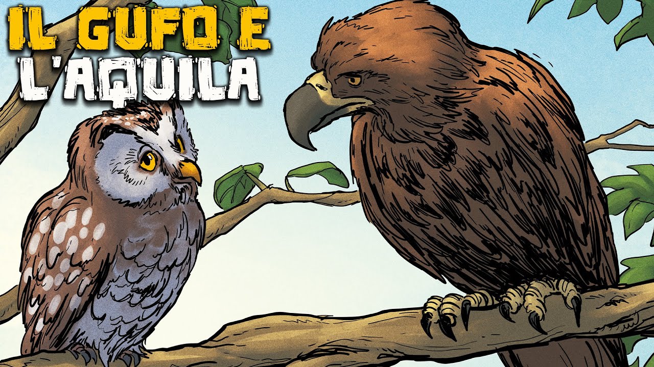 La Lotta tra l'Aquila e il Gufo -  Favole del Mondo - Storia e Mitologia Illustrate