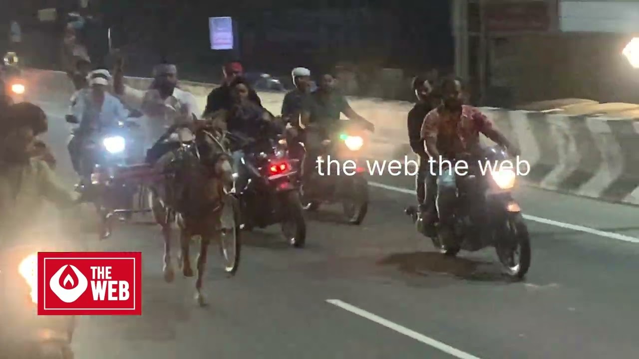പാലക്കാട് തെരുവത്ത് പള്ളി നേർച്ചയ്ക്കായി എത്തുന്ന കാള വണ്ടികൾ.