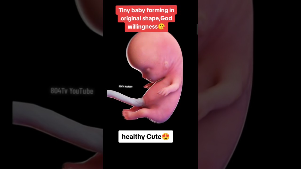 Tiny baby forming in original shape,God willingness😍|#pregnancy #baby