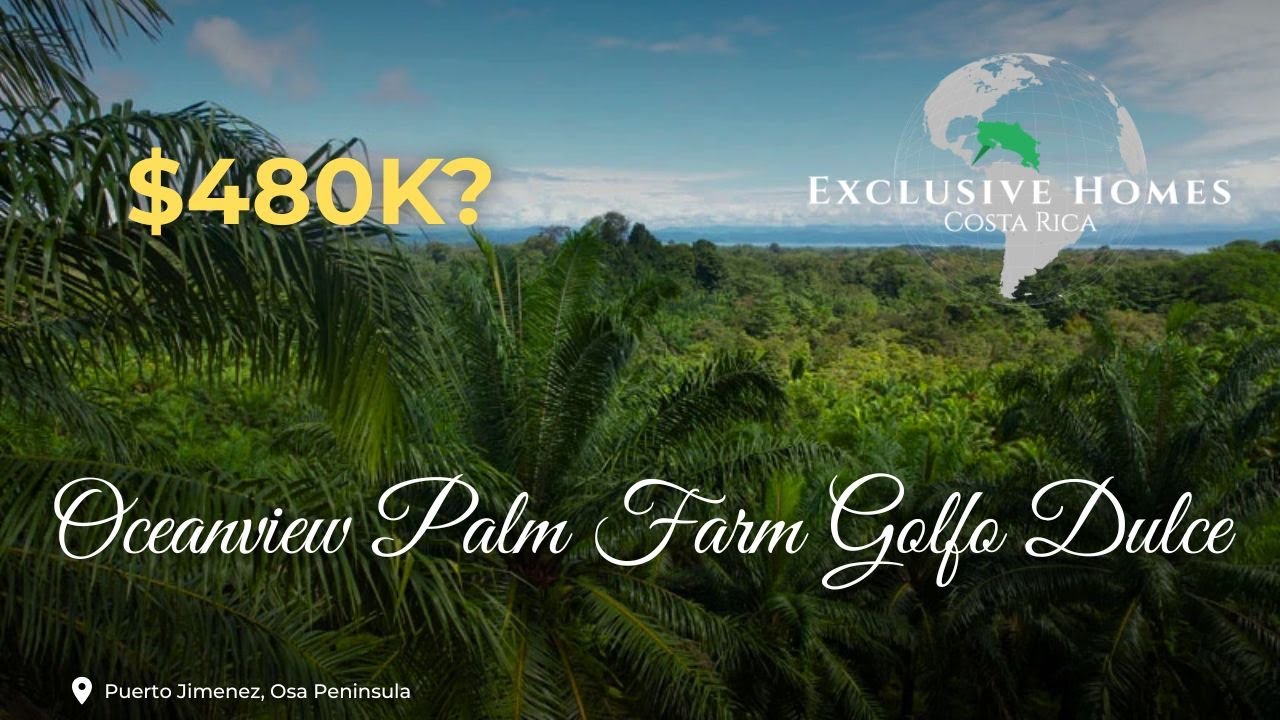 Profit + Paradise: Eco-Income from this Costa Rica Palm Farm
