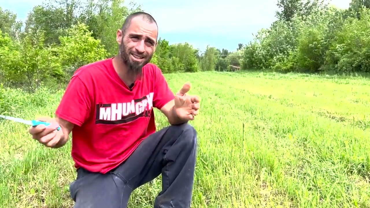 Une terre familiale revit grâce aux asperges